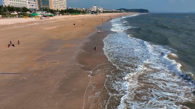 부드러운 파도가 부는 화창한 해변