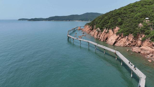 Coastal walking path with green forest