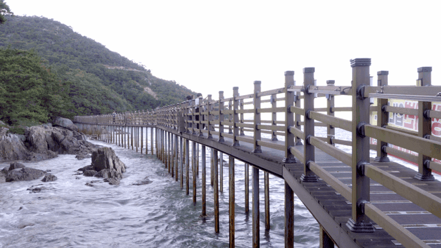 People walking on a coastal boardwalk
