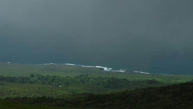 Overcast Coastal Landscape with Gentle Waves