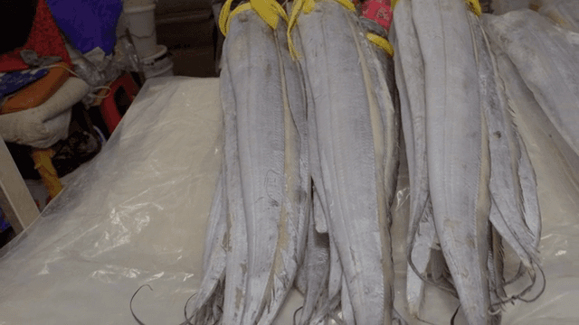 Freshly caught fish bundled on a table