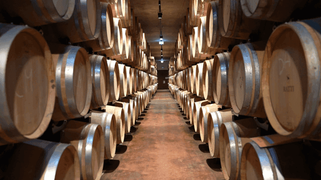 Passageway filled with oak barrels containing wine from cellar