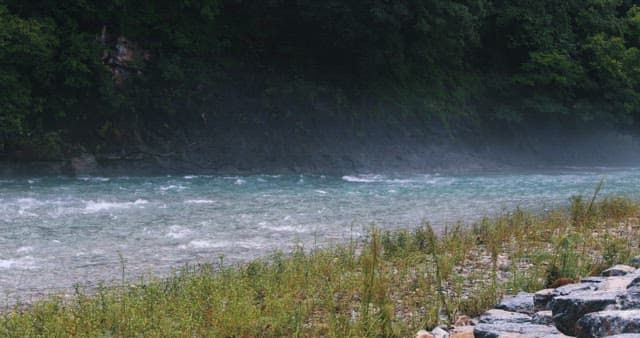싱그러운 자연 속에서 흐르는 잔잔한 강