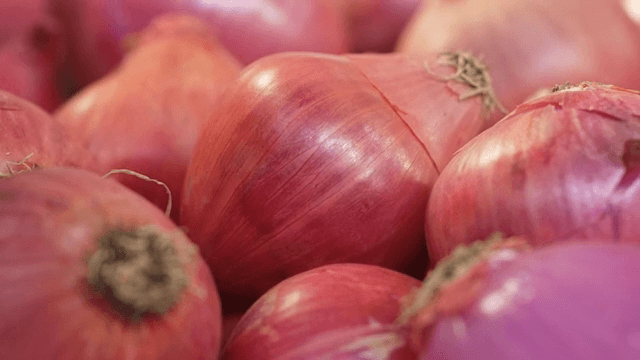 신선한 적양파의 근접 촬영