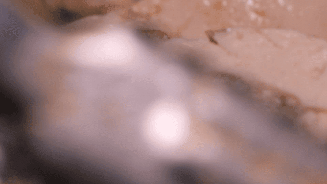 Close-up of tofu stew with vegetables