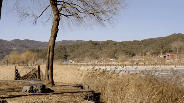 Serene landscape with trees and mountains