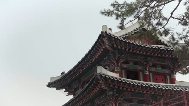 나무로 둘러싸인 한국 전통 건축물의 화려한 디자인