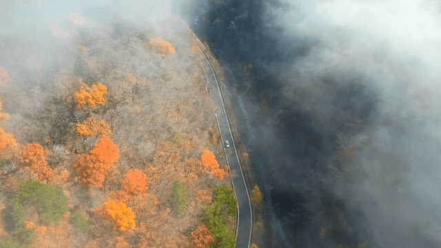 Winding road through a misty autumn forest