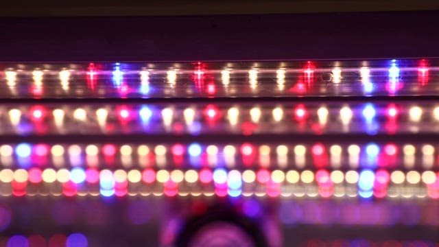 Colorful LED Lights Glowing in a Dark Environment