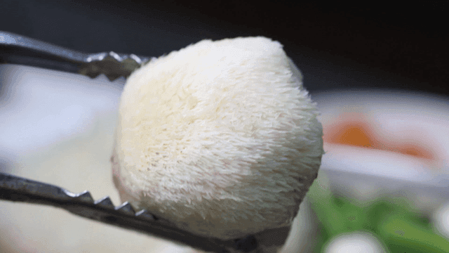 Mushroom stew with tongs, deer antler mushrooms
