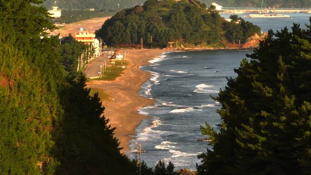 Coast seen between the trees
