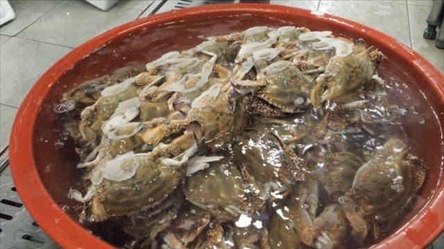 주방에서 숯과 게를 분류하는 장면