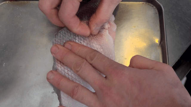 손으로 생선 비늘을 제거하는 사람