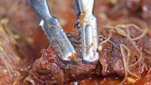 잘 익은 소갈비 살코기를 집게로 부드럽게 찢는 모습