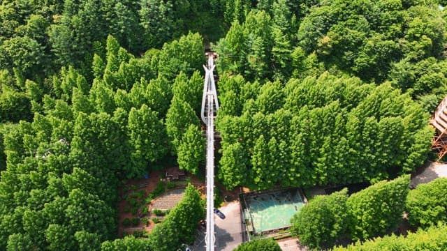 Aerial view of a green forest and long bridge