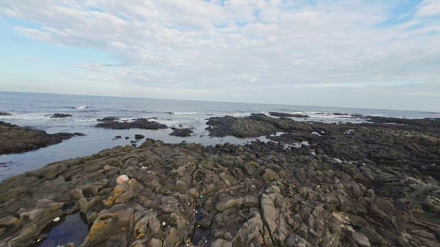 Rocky shoreline with gentle waves