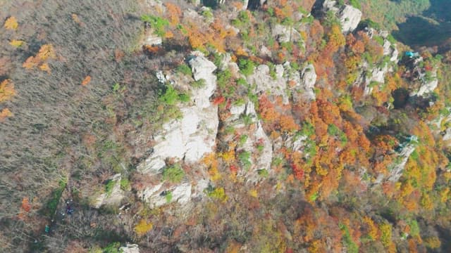 Colorful autumn forest and rocky cliffs