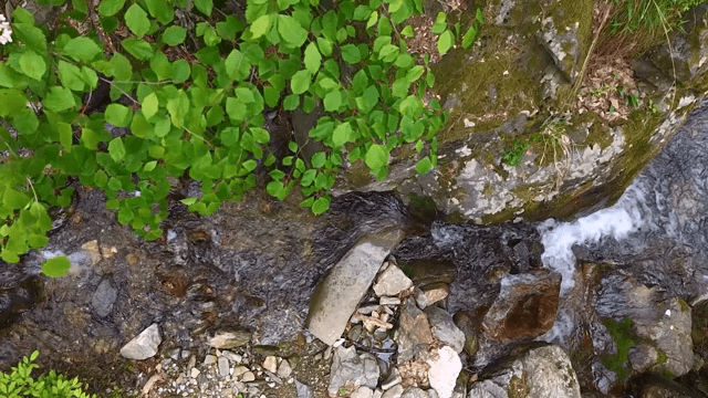 바위 사이로 흐르는 고요한 시냇물