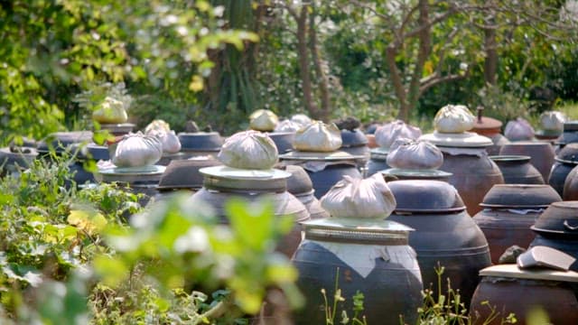 녹음 가득한 정원에 있는 항아리가 많은 장독대