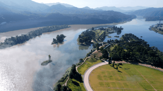 Foggy river and tree scenery