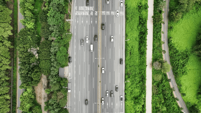 Highway surrounded by lush greenery