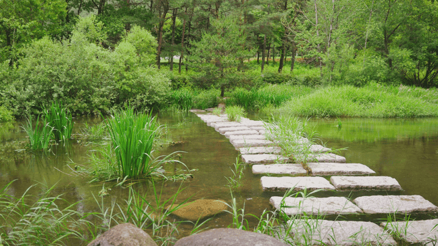 고요한 숲에 있는 작은 시냇물
