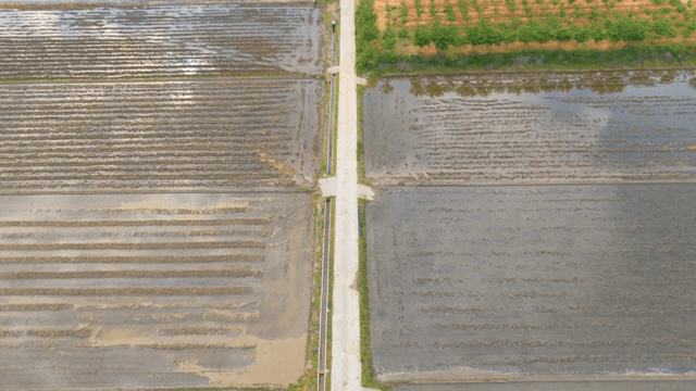 넓은 논의 항공 뷰