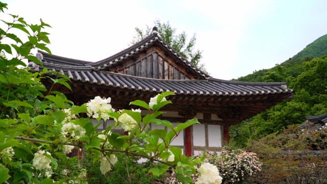 Traditional Korean house in a natural setting filled with flowers and trees