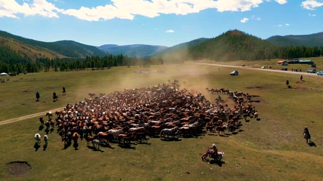 Herders managing a large herd of horses