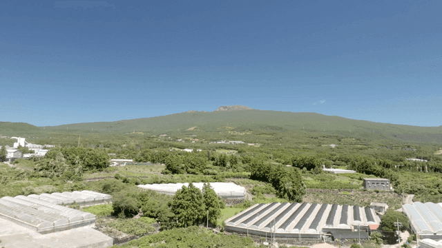 Greenhouses and fields with a mountain backdrop