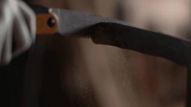 정교하게 나무를 톱질하는 모습