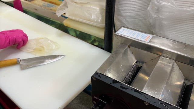 Cutting Fresh Squid in a Kitchen