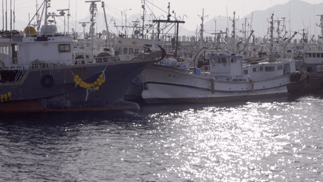 햇살이 내려앉은 바다 위에 정박한 어선들