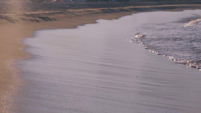 Gentle Waves Washing Over Sandy Beach