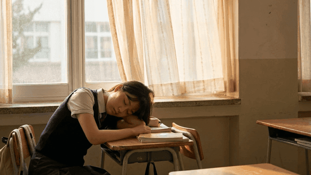 Student who fell asleep in classroom bathed in afternoon sunlight