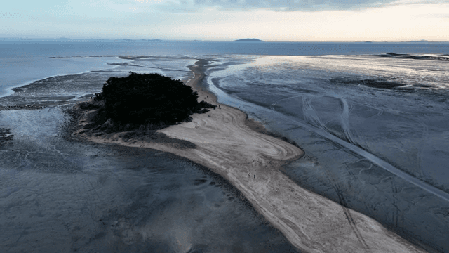 섬과 갯벌의 항공 뷰