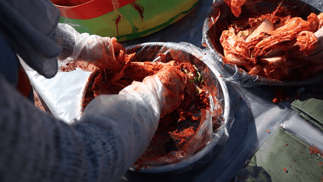 Hands preparing kimchi in a bowl