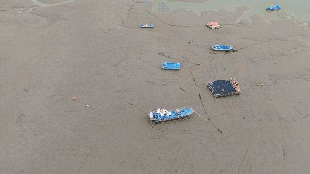 배들이 있는 갯벌의 항공 뷰