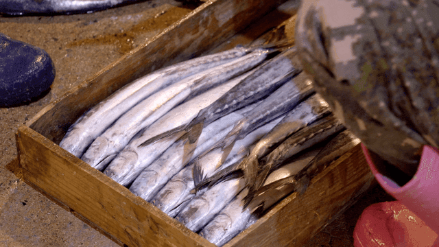 Fresh fish in a wooden box at a market