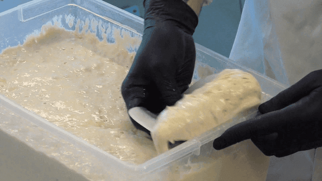 플라스틱 용기에서 떠내지는 찰진 반죽