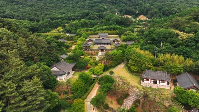 푸른 나무로 둘러싸인 한국 전통 가옥