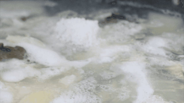 대구와 소금을 넣은 육수