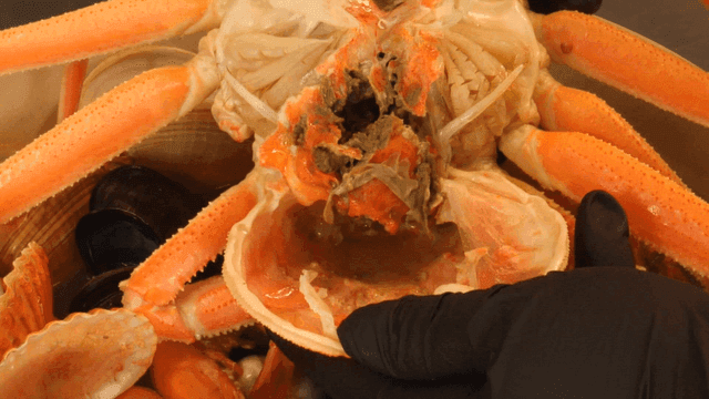 열리는 삶은 게 껍질