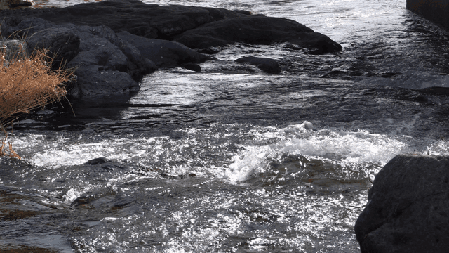 빠르게 흐르는 맑은 강