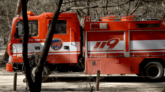 숲길을 지나가는 소방차