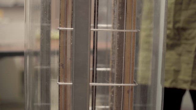 꿀을 추출하기 위해 돌아가는 채밀기