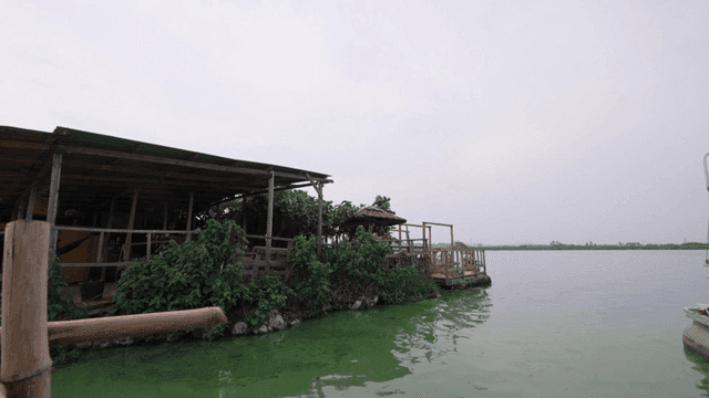 강가의 나무 구조물과 녹지