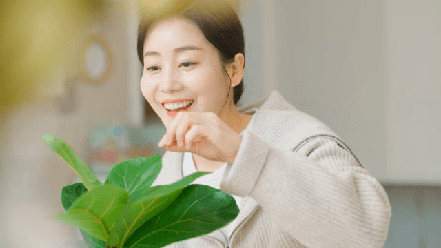 여성이 실내 식물을 기쁘게 돌보는 모습