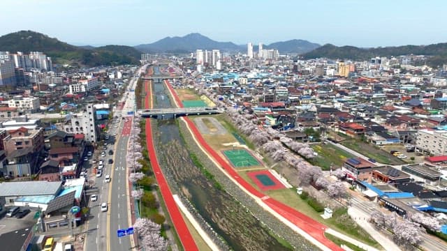 강을 따라 벚꽃이 핀 도시 풍경