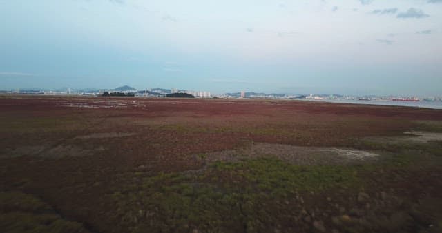 Vast field with distant city skyline